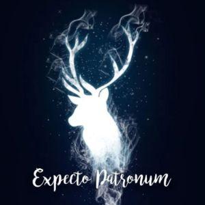 expect0 avatar