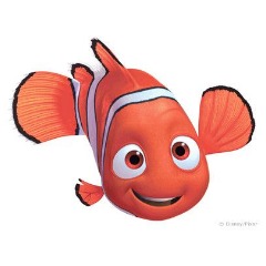 veXus2213