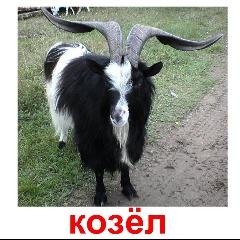 Player KozZzel avatar