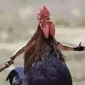 Hardeen avatar