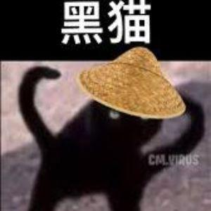 ieatcatz