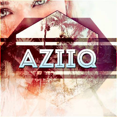 Az11q
