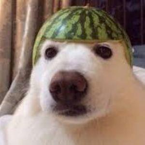 x-gg-x avatar