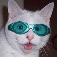 ExiWasTaken avatar