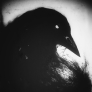 Vounter