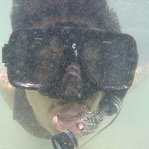 EjauBud avatar