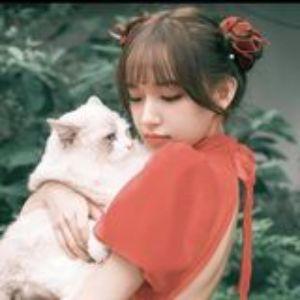 Player wannable11 avatar