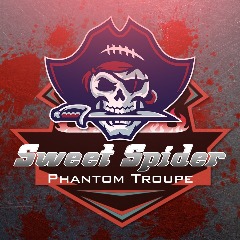 SWEET_SPIDER - Player Profile - FACEIT.com