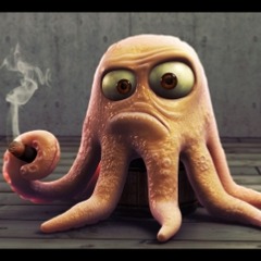 wiiwii FACEIT avatar