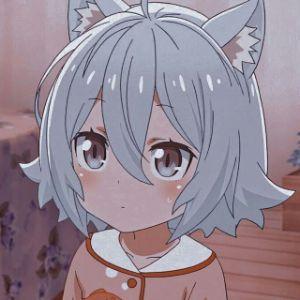 Medvedmed avatar