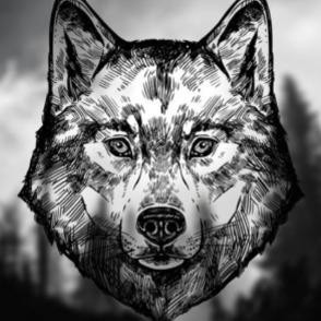 Player -Oscarius- avatar