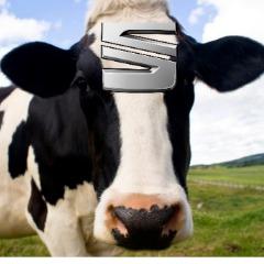 h1d3kOficial avatar