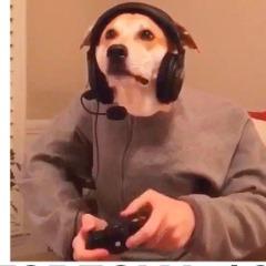 Player lmss3 avatar