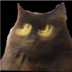 Alpacachino avatar