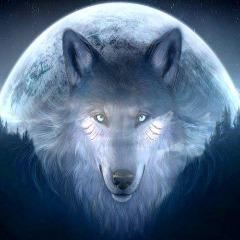 Loney_Wolf avatar
