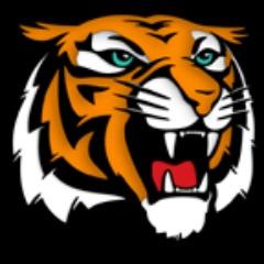 TiggerNoodle avatar