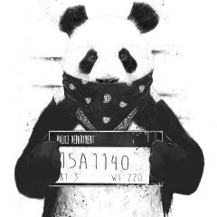 got_oogii avatar