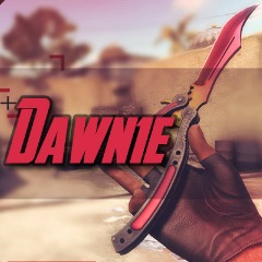 Dawn1e FACEIT avatar