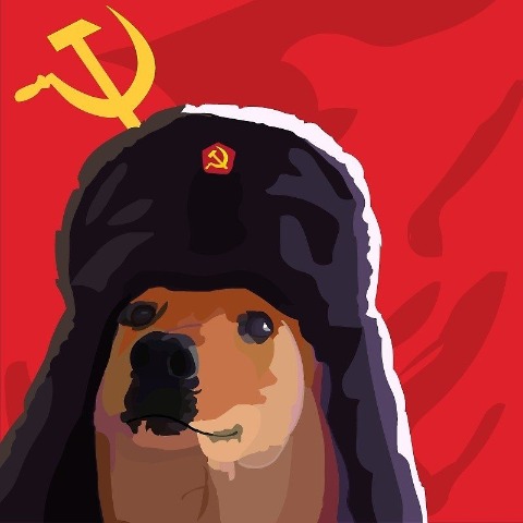 Мем кот с флагом ссср