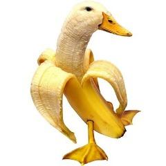 ayeKaramba avatar