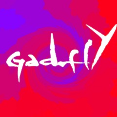 gadfly