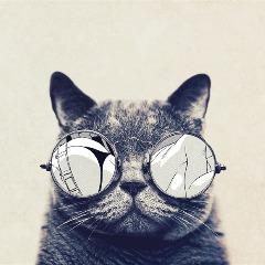 ertucrv avatar