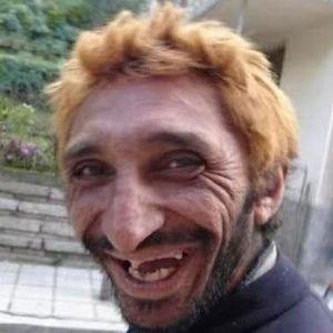 radu239 avatar