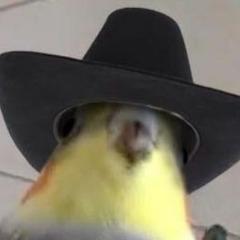 killerlazerr
