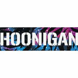 HoOn1GUN