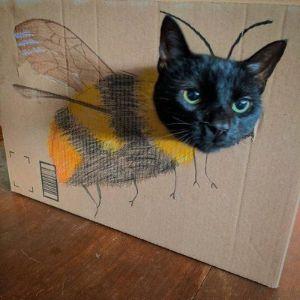 Megazord avatar