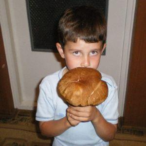 Kilmaro avatar
