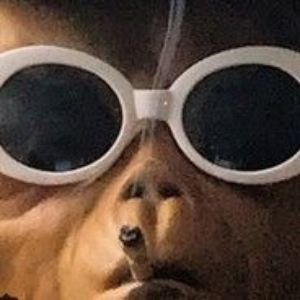 -D3Xx-