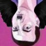 Player Dondoman avatar