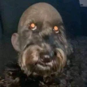 ACYZHDAY avatar