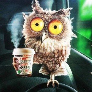 SLEPYOU avatar