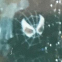 urek avatar