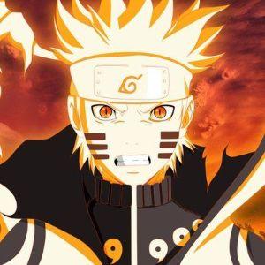 Weeoox avatar
