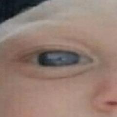 GREENBVS avatar