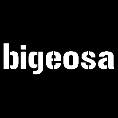 Player bigeosa avatar