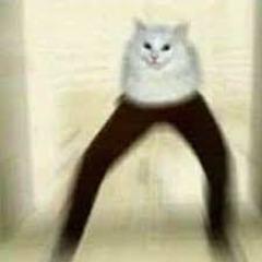 mambaGz avatar