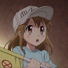 deiH avatar