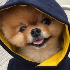 CaptGoro avatar