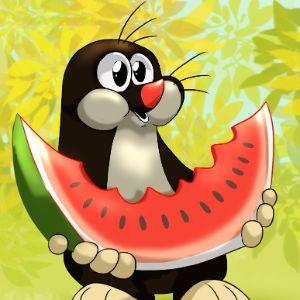Player KrecikSzef avatar