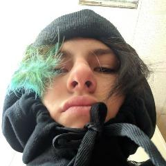 MaksBogov avatar
