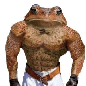 Mokaiking avatar