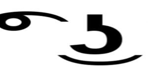 quage555