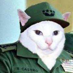 Player rapper419 avatar