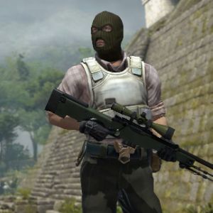 AngryBeaverr FACEIT avatar