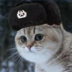 Soviecat avatar