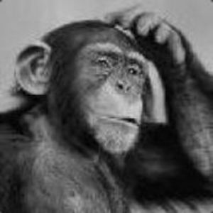filcc avatar